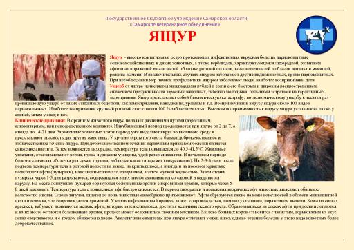 Памятка "Ящур"