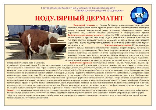 Нодулярный дерматит КРС