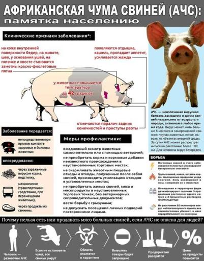 Африканская чума свиней