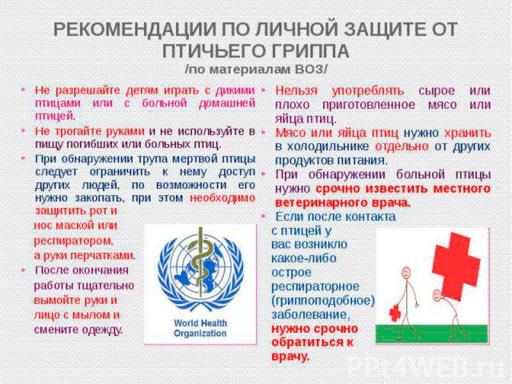 Рекомендации по защите от птичьего гриппа