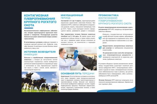 Памятка  "Контагиозная  плевропневмония КРС"