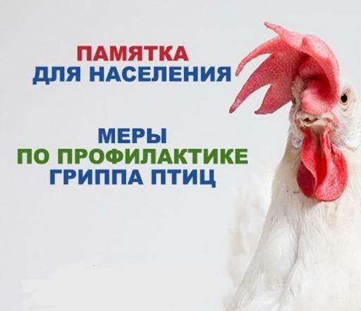 Памятка для населения по профилактике гриппа птиц