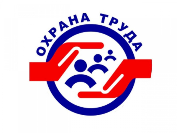 Памятка по обеспечению безопасных условий и охраны труда привлеченных к трудовой деятельности иностранных граждан и лиц без гражданства В соответствии с частью 3 статьи 62 Конституции Российской Федерации иностранные граждане и лица без гражданства