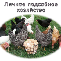 Граждане, ведущие личное подсобное хозяйство могут претендовать на получение льготных краткосрочных и инвестиционных кредитов по ставке до 5 %