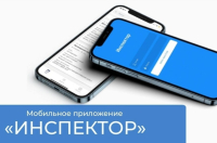 Мобильное приложение "Инспектор"