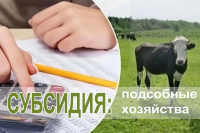 Начался прием документов на субсидию ЛПХ