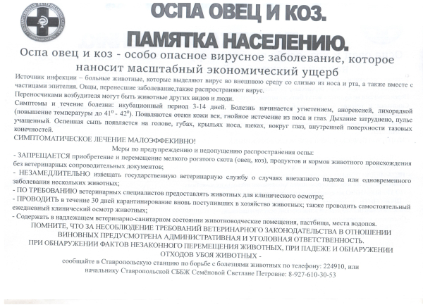 Оспа овец и коз.