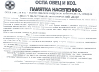 Оспа овец и коз.