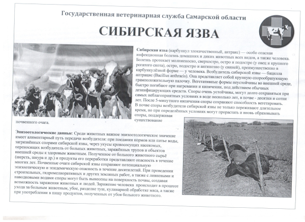 Памятка для населения сибирская язва.