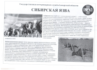 Памятка для населения сибирская язва.