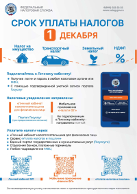 Внимание! Срок уплаты налогов 1 декабря.