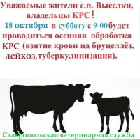 Внимание! 18 октября состоится осенняя обработка КРС.